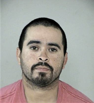 Ramon Avila, - Fort Bend County, TX 